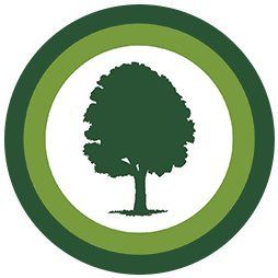 Desk with leather desk pad, walnut desk organizer, wireless keyboard and mouse, and porcelain mug.